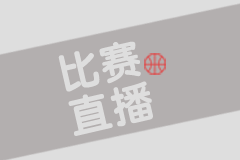 富勒姆VS纽卡斯尔